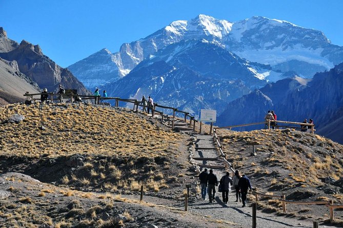 Vinhedos e Cordilheira dos Andes