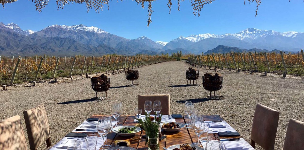 Vinhedos de Mendoza