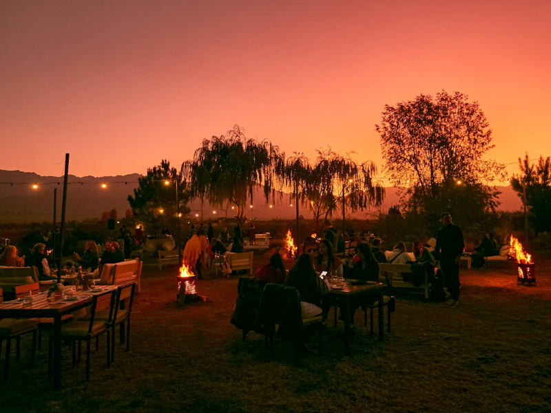 Pôr do sol nos vinhedos